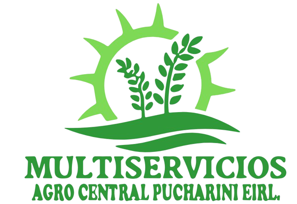 imagen_2024-08-09_171349693-removebg-preview