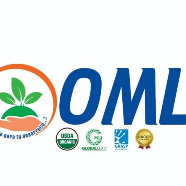 imagen_2024-08-12_115425192